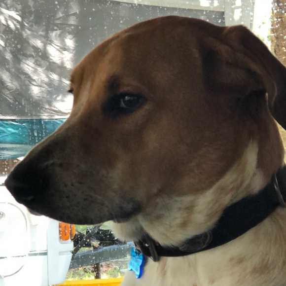 Meet your Posher, Jennifer - Picture 3 of 3